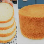 Pan di spagna professionale