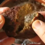 Gnocco Di Carne Macinata